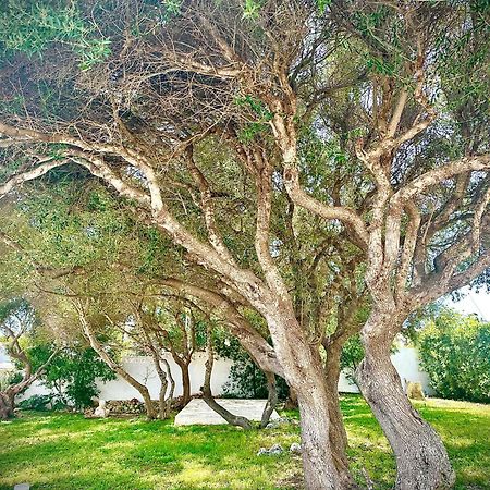 Apartmán Starbal Apt Es Castell  Exteriér fotografie