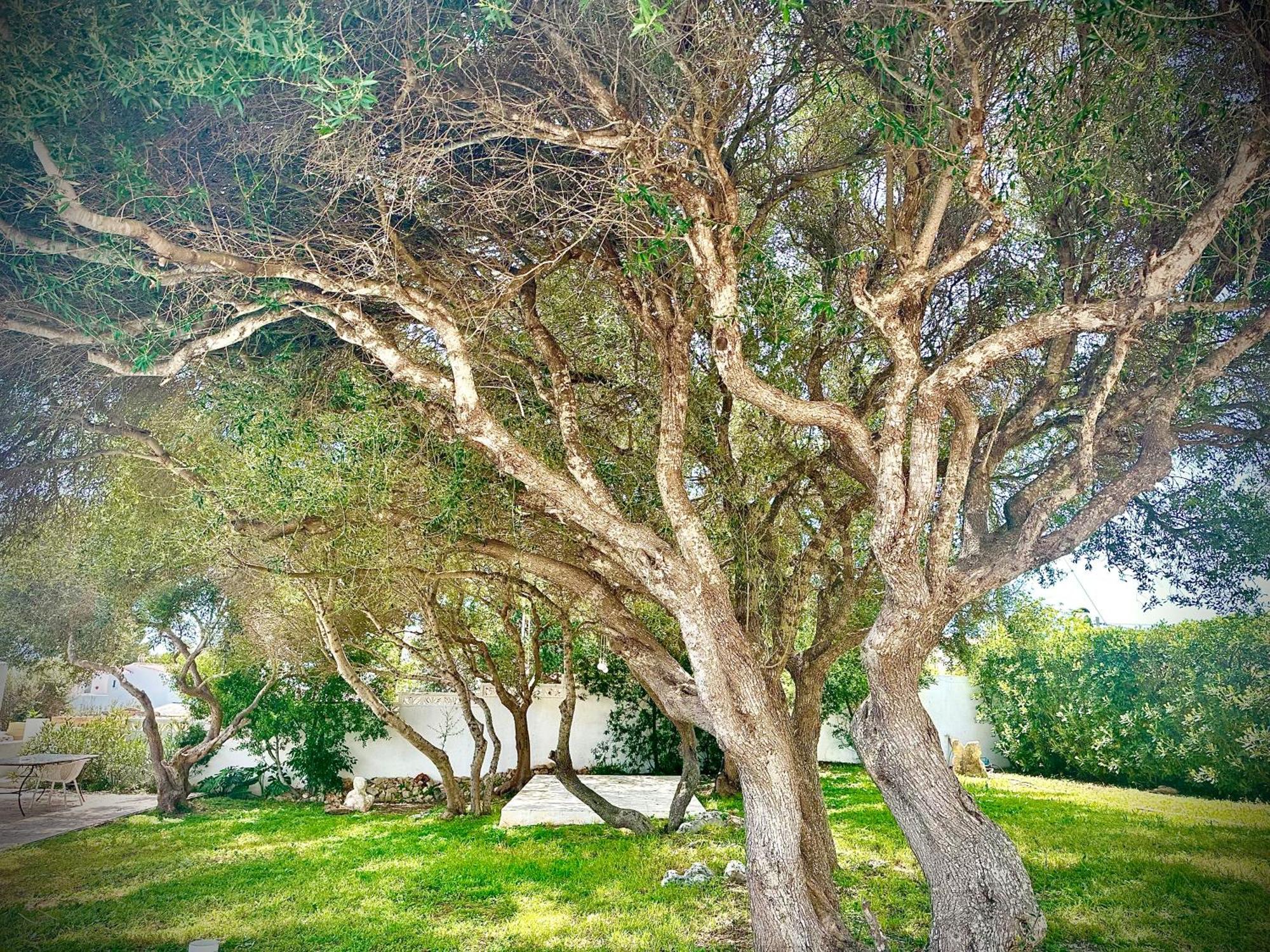 Apartmán Starbal Apt Es Castell  Exteriér fotografie